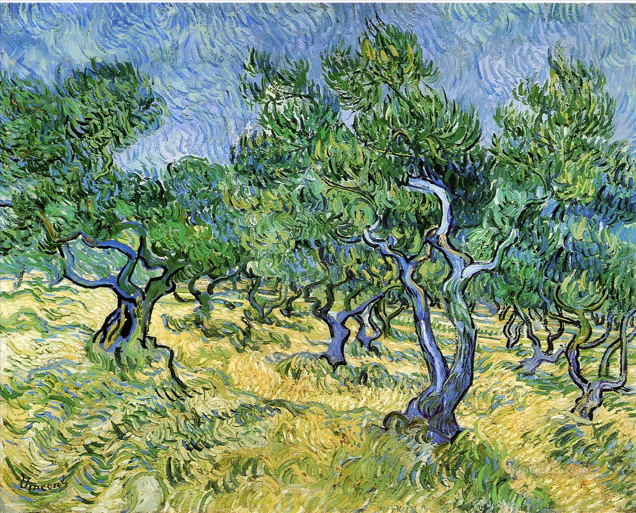 Olive Grove Vincent van Gogh Oil Paintings